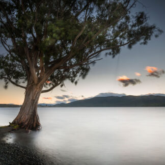 maillard nz Lake Te Anau