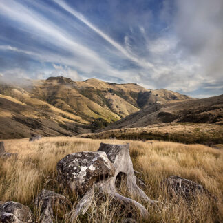 Mount Herbert by John Maillard