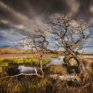 Kaituna, Lake Ellesmere / Te Waihora by John Maillard
