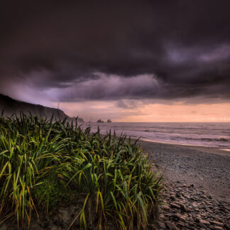West Coast, New Zealand by John Maillard