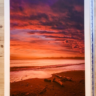 Palliser Bay new Zealand