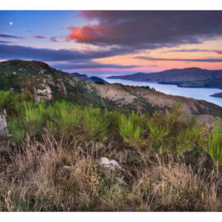 PortHills2