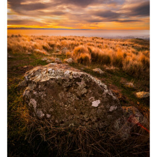 The Port Hills