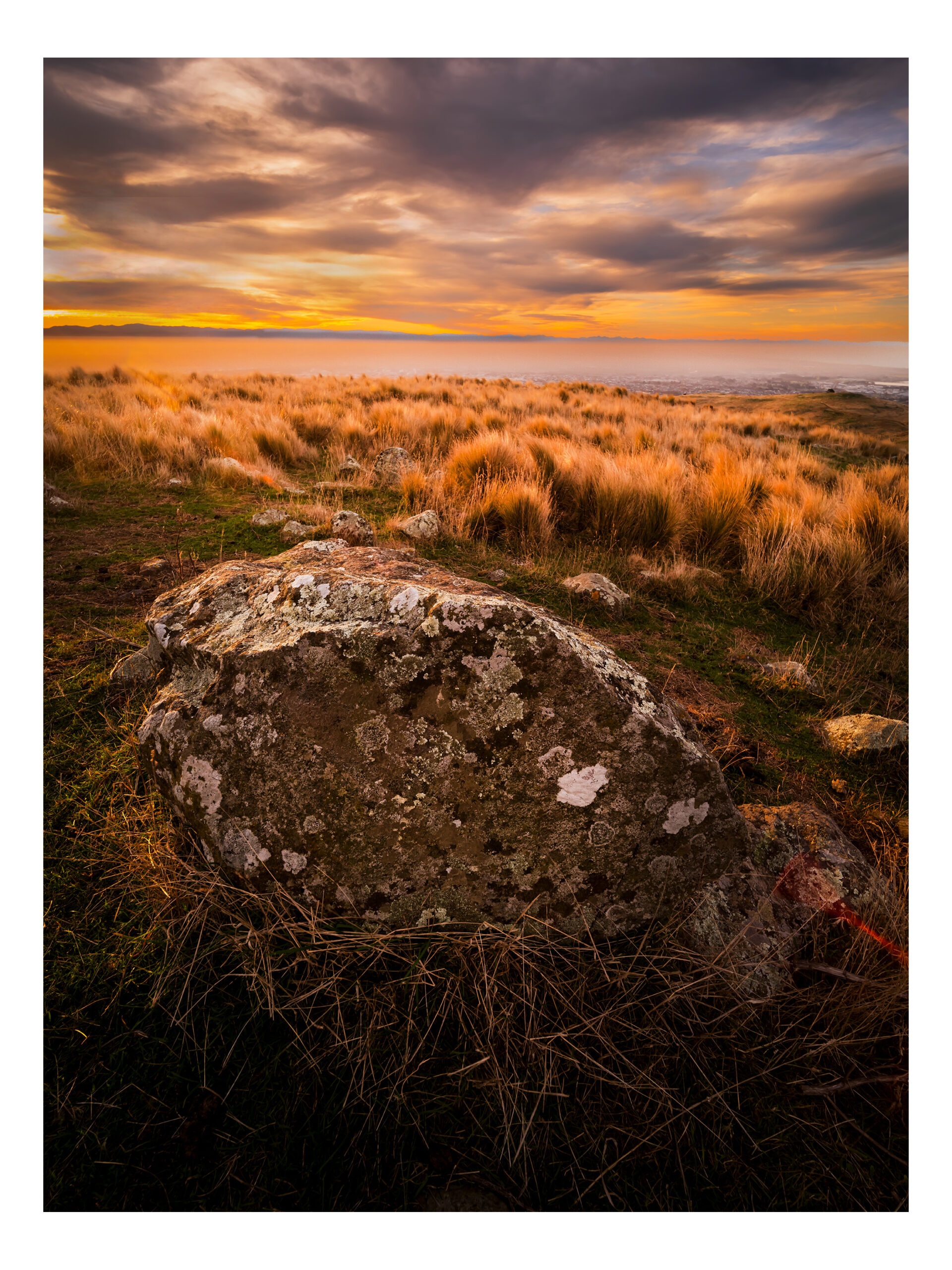 The Port Hills