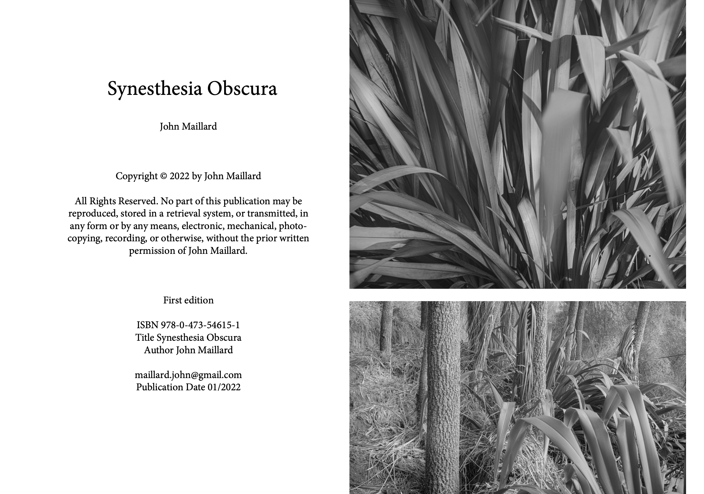 book preview1
