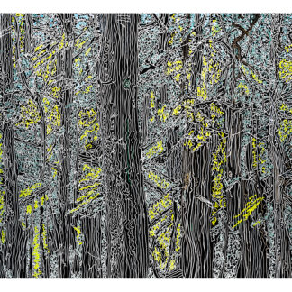 beachforest